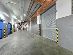 Trivex (D13), Warehouse #498874821